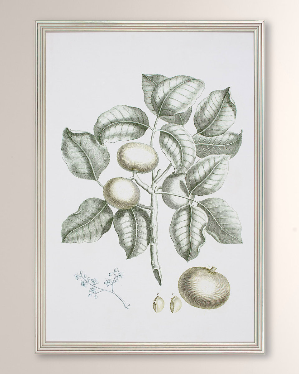 "Buchoz Tropical I" Framed Giclee